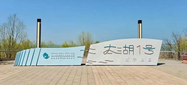世界杯直播软件更新-五千跑者集结,2026苏州太湖数字半程马拉松开跑